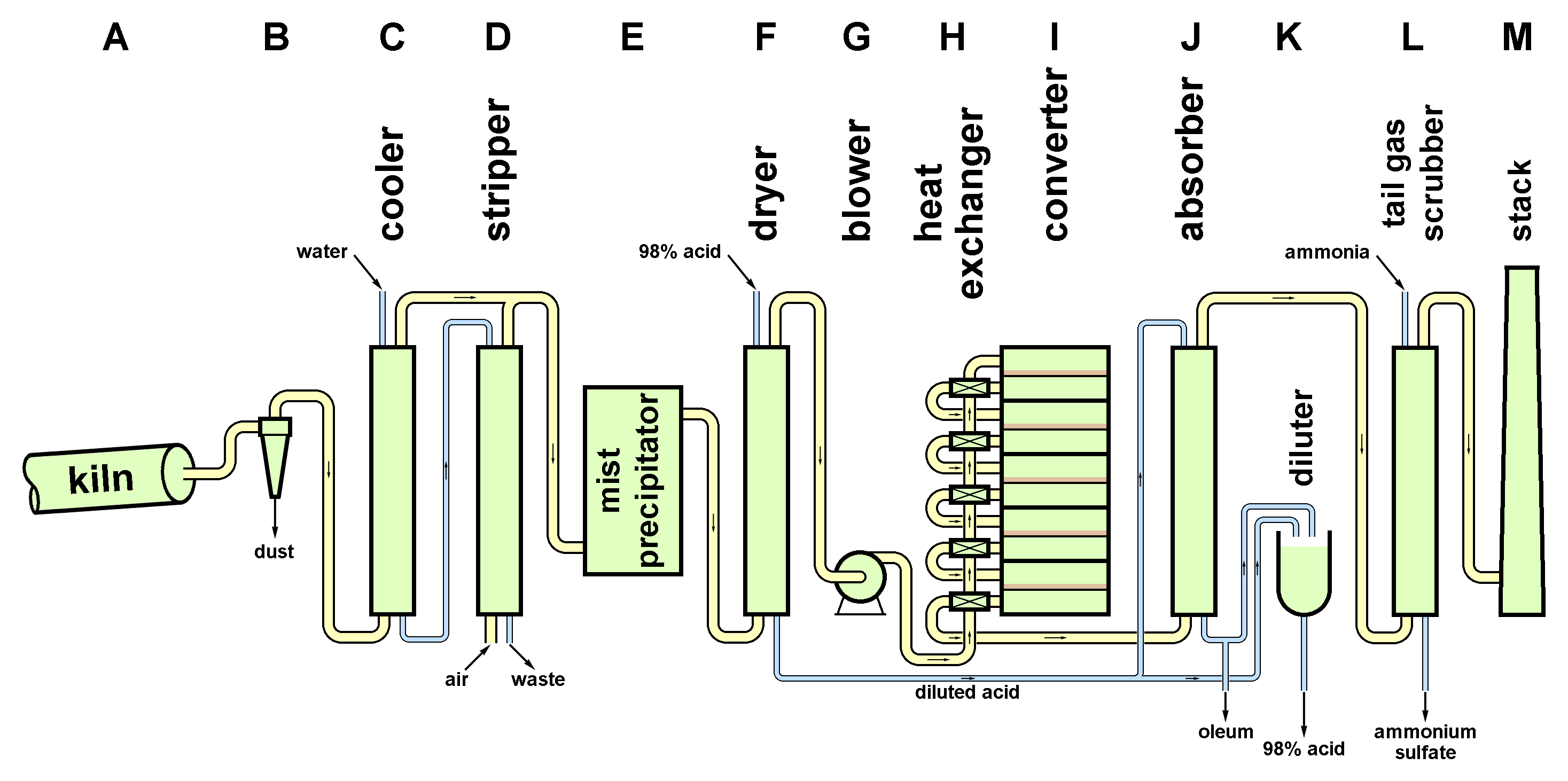 Contact Process