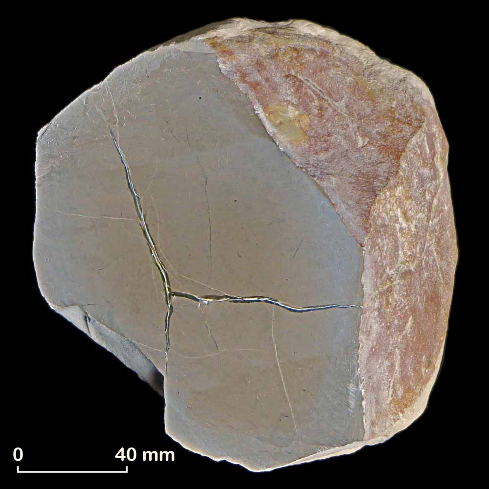 Nodule